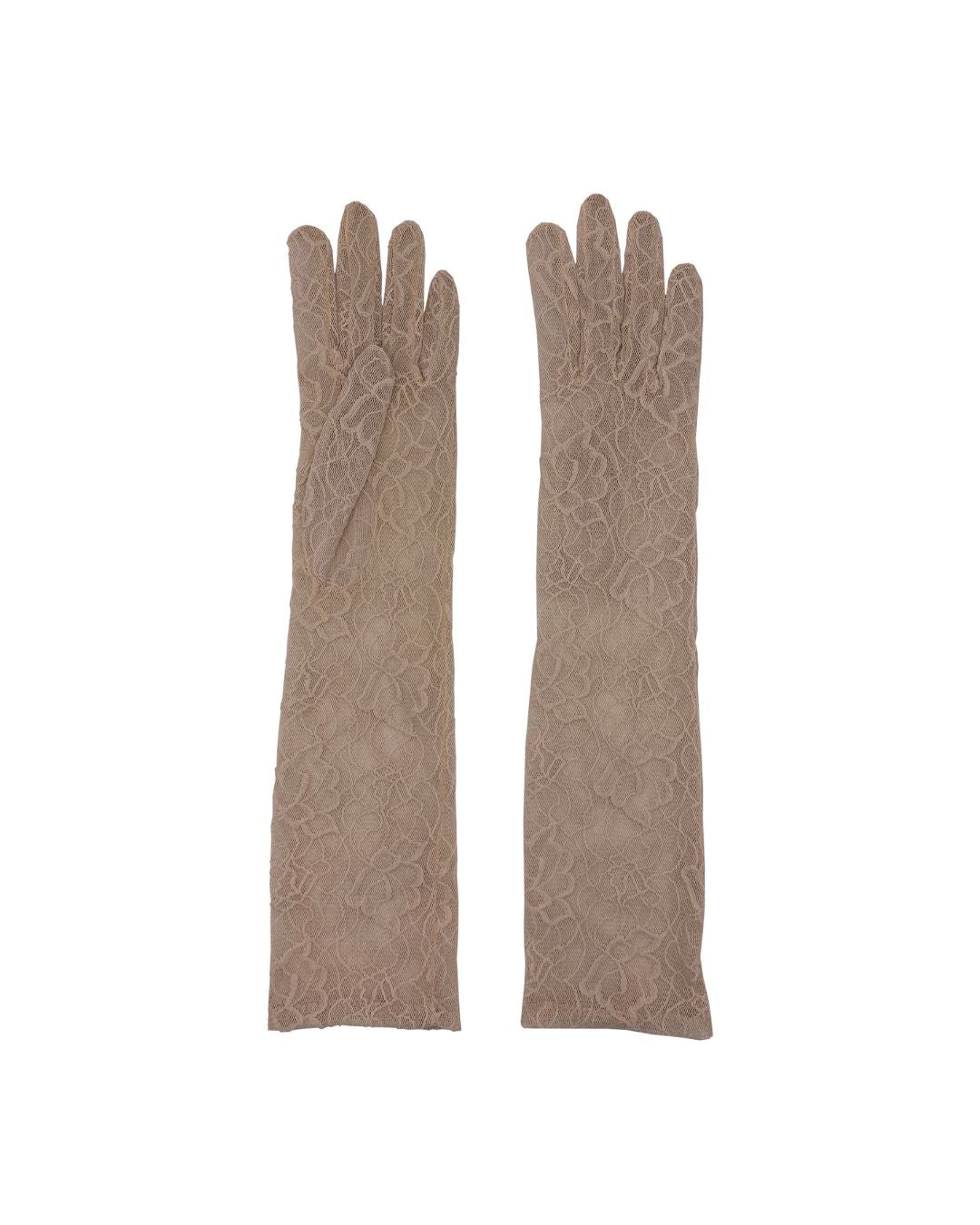 AGNELLE Opera Lace Gloves in Nude